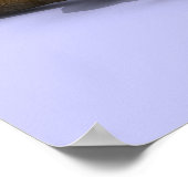 Afstuderen Coyote Poster (Hoek)