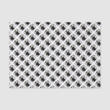 Afstuderen diplomatiek ontvangstbewijs