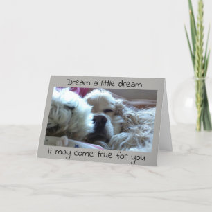 **AFSTUDEREN** DREAM HET EN HET KAN WAAR WORDEN KAART