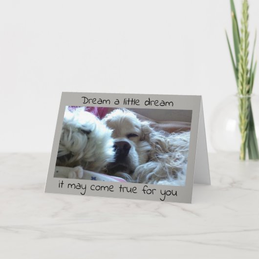 **AFSTUDEREN** DROOM HET EN HET KAN UITKOMEN KAART (Voorkant)