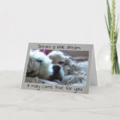 **AFSTUDEREN** DROOM HET EN HET KAN UITKOMEN KAART (Voorkant)