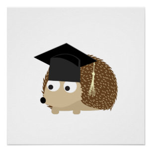 Afstuderen egel poster