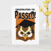 Afstuderen/Examens - de Pa van de Afstuderen van Kaart (Gele Bloem)