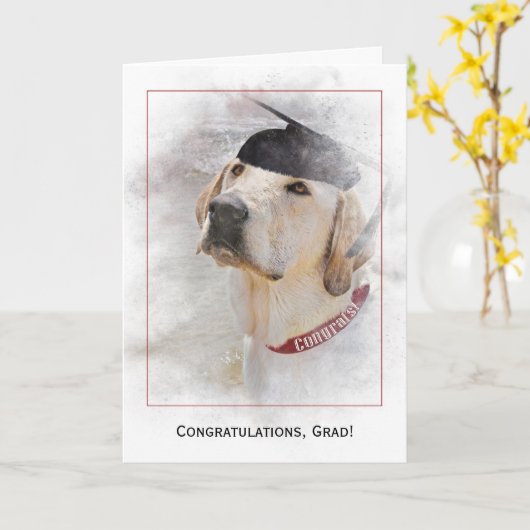 afstuderen felicitaties Labrador Retriever Kaart (Gele Bloem)