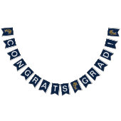 AFSTUDEREN FIU Panthers Vlaggetjes (Alle)