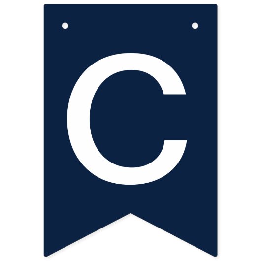 AFSTUDEREN FIU Panthers Vlaggetjes (Tweede vlag)