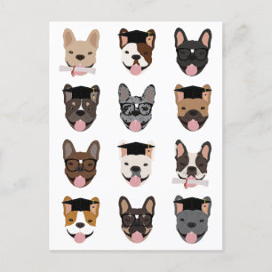 Afstuderen French Bulldog Faces Briefkaart