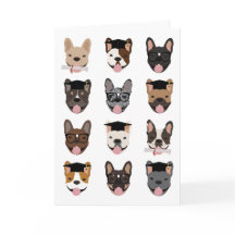 Afstuderen French Bulldog Faces