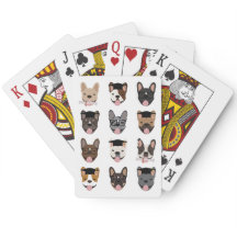 Afstuderen French Bulldog Faces