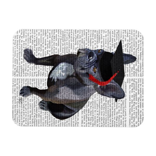 Afstuderen French Bulldog Magneet (Horizontaal)