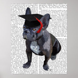 Afstuderen French Bulldog Poster