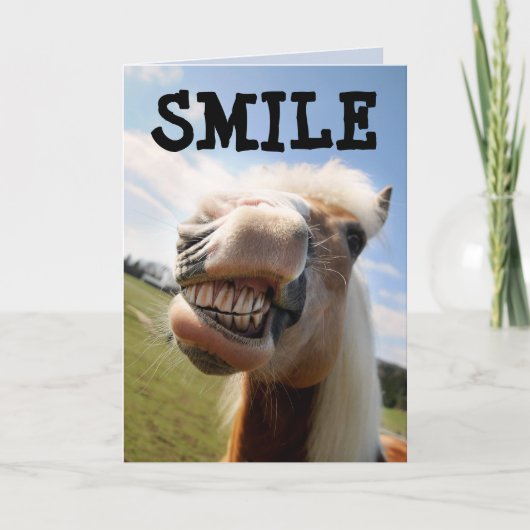 AFSTUDEREN FUNNY HORSE SMILE CONGRATS KAARTEN (Voorkant)
