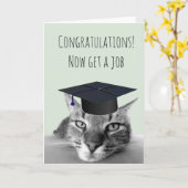 Afstuderen Gefeliciteerd Boze Kat Humor Kaart (Gele Bloem)