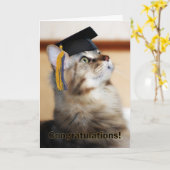 Afstuderen Gefeliciteerd Cat Dearing Mortarboard Kaart (Gele Bloem)