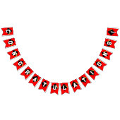 Afstuderen gefeliciteerd vlaggetjes (Alle)