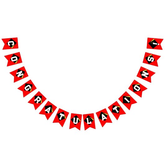 Afstuderen gefeliciteerd vlaggetjes (Alle)