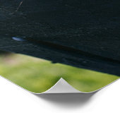 Afstuderen Gefeliciteerd Zwart Modern Foto Poster (Hoek)