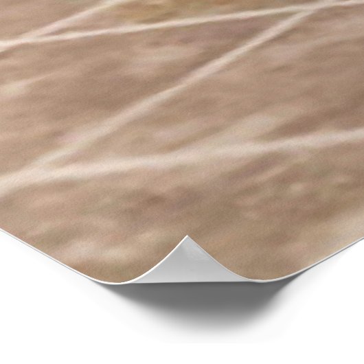 AFSTUDEREN GEVESTIGD POSTER (Hoek)