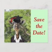 Afstuderen Giraffe Red Tassel Aankondigingskaart (Voorkant)