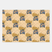 Afstuderen Inpakpapier Vel (Voorkant 2)