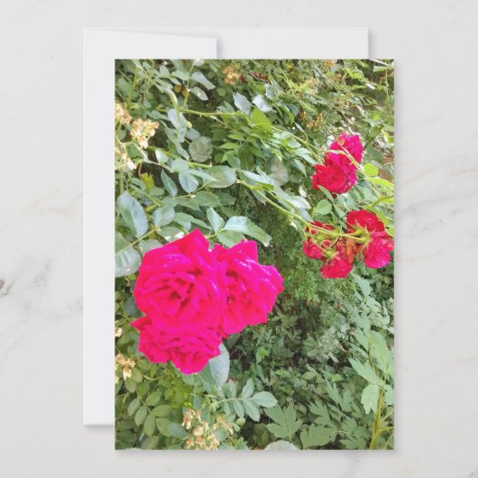 Afstuderen Jubileum reünie uitnodiging (Achterkant)