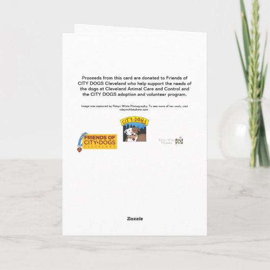 Afstuderen kaart (Achterkant)