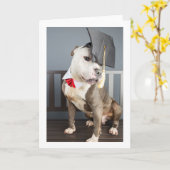 afstuderen kaart (Gele Bloem)