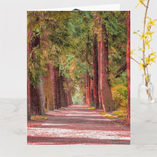 Afstuderen-kaart Kaart (Gele Bloem)