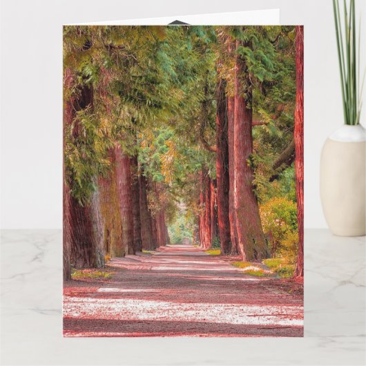 Afstuderen-kaart Kaart (Voorkant)