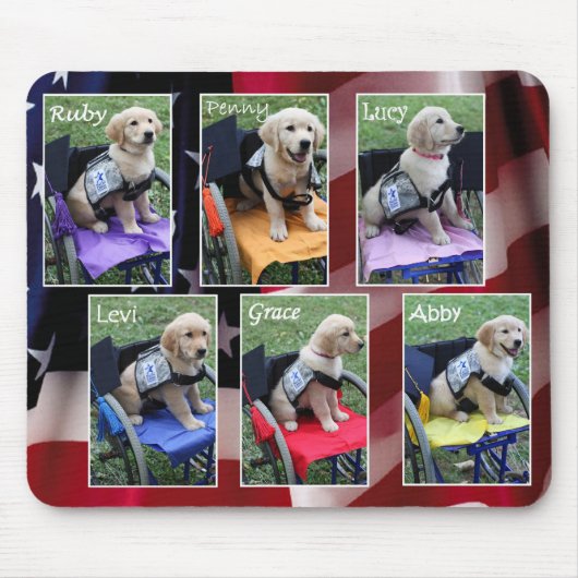 Afstuderen Kloonmuisblok Muismat (Voorkant)