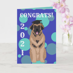 Afstuderen Leonberger Kaart