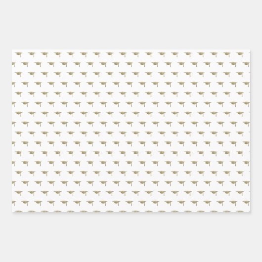 Afstuderen modern klassiek goud inpakpapier vel (Voorkant 3)