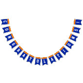 Afstuderen Oranje en blauwe felicitaties Vlaggetjes (Alle)