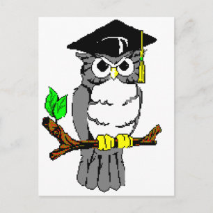 Afstuderen Owl Aankondigingskaart