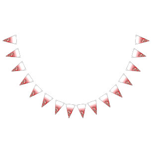 Afstuderen & Party Bunting Flags   Aangepast decor Vlaggetjes