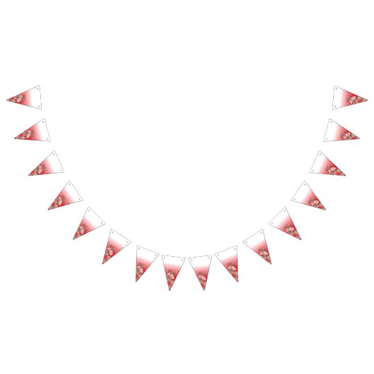 Afstuderen & Party Bunting Flags | Aangepast decor Vlaggetjes (Alle)