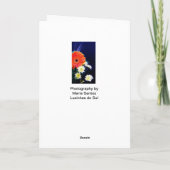 Afstuderen-pauwveer Kaart (Achterkant)