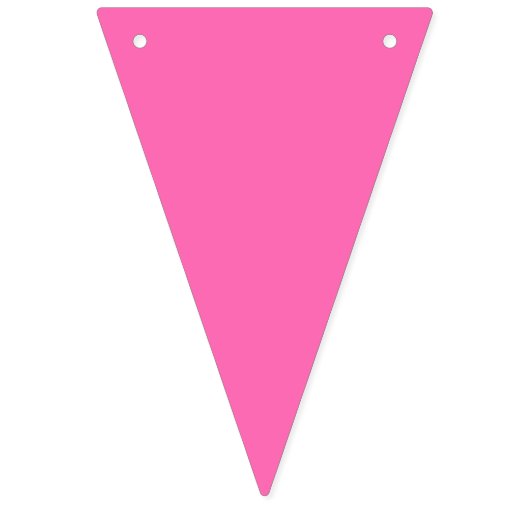 Afstuderen Pet Toss (Tropisch) Vlaggetjes (Tweede vlag)