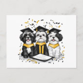 Afstuderen Shih Tzu Dogs Briefkaart (Voorkant)