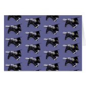 Afstuderen Skunk (Voorkant Horizontaal)