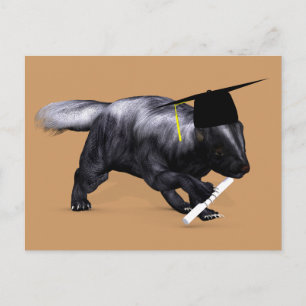 Afstuderen Skunk Briefkaart