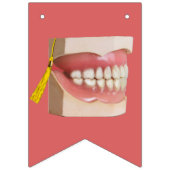 Afstuderen tandheelkunde vlaggetjes (Eerste vlag)