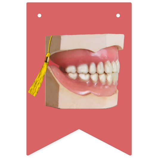 Afstuderen tandheelkunde vlaggetjes (Eerste vlag)