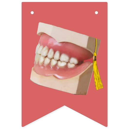 Afstuderen tandheelkunde vlaggetjes (Derde vlag)