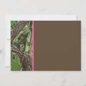 Afstuderen van de bosbouw kaart (Achterkant)