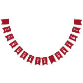 Afstuderen van de rechtenfaculteiten vlaggetjes (Alle)