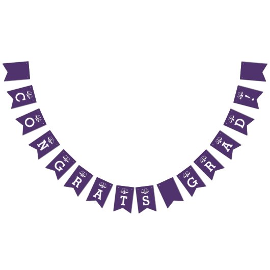 Afstuderen van de rechtenfaculteiten vlaggetjes (Alle)