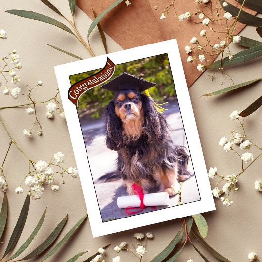 Afstuderen van Vet School Dog Kaart