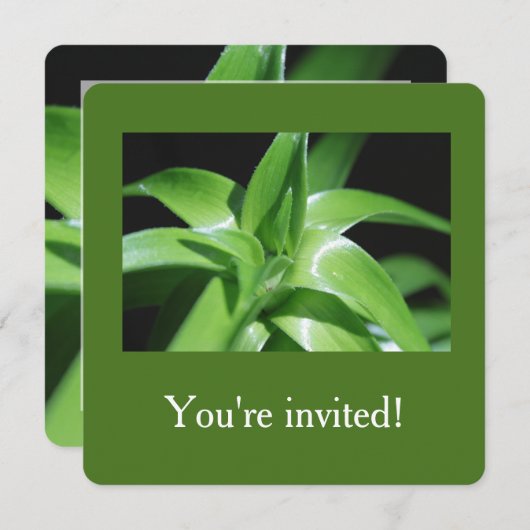 Afstuderen verse groene lantaarnbladeren kaart (Voorkant / Achterkant)