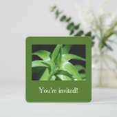 Afstuderen verse groene lantaarnbladeren kaart (Staand voorkant)